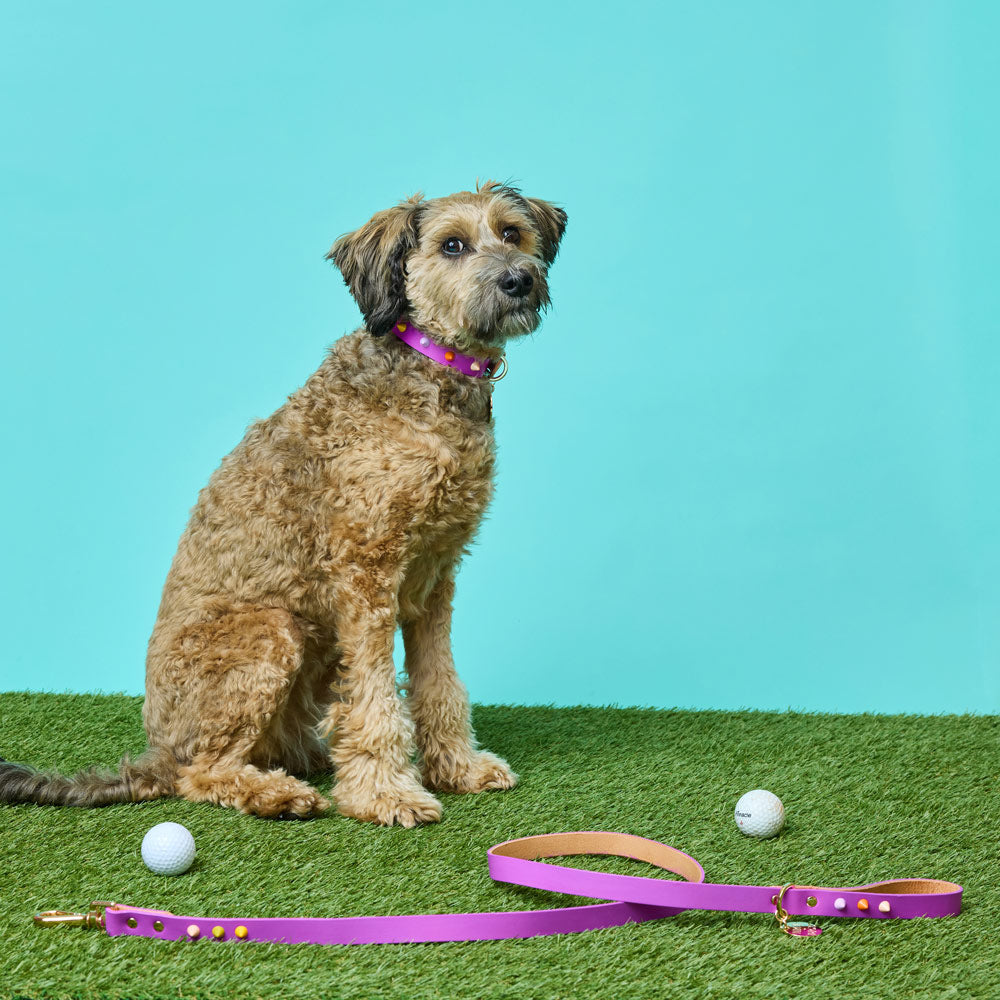 Spike Leather Dog Leash - Ultra Violet