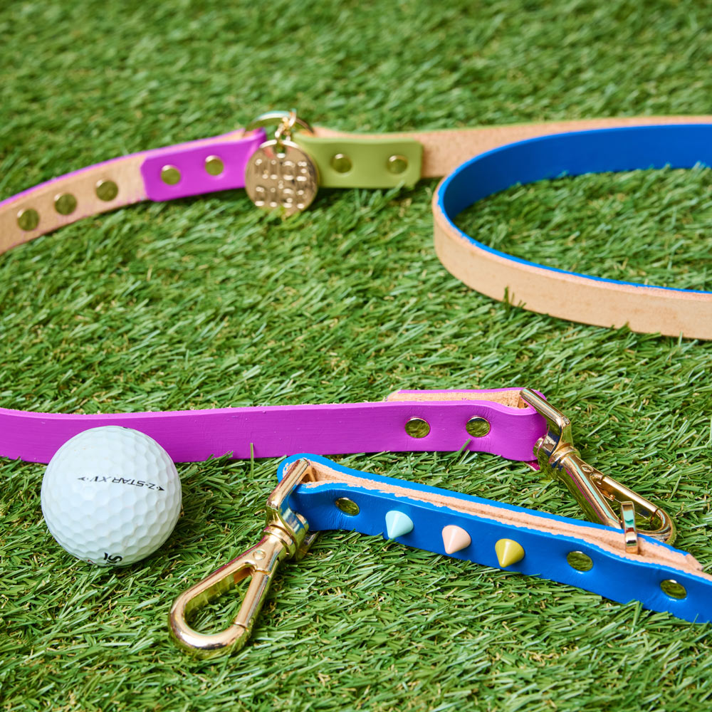 Adjustable Leather Dog Leash - Fun Fair