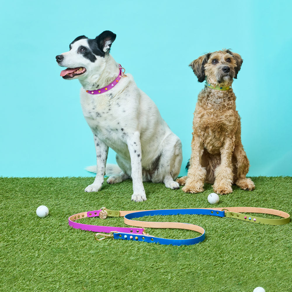 Adjustable Leather Dog Leash - Fun Fair