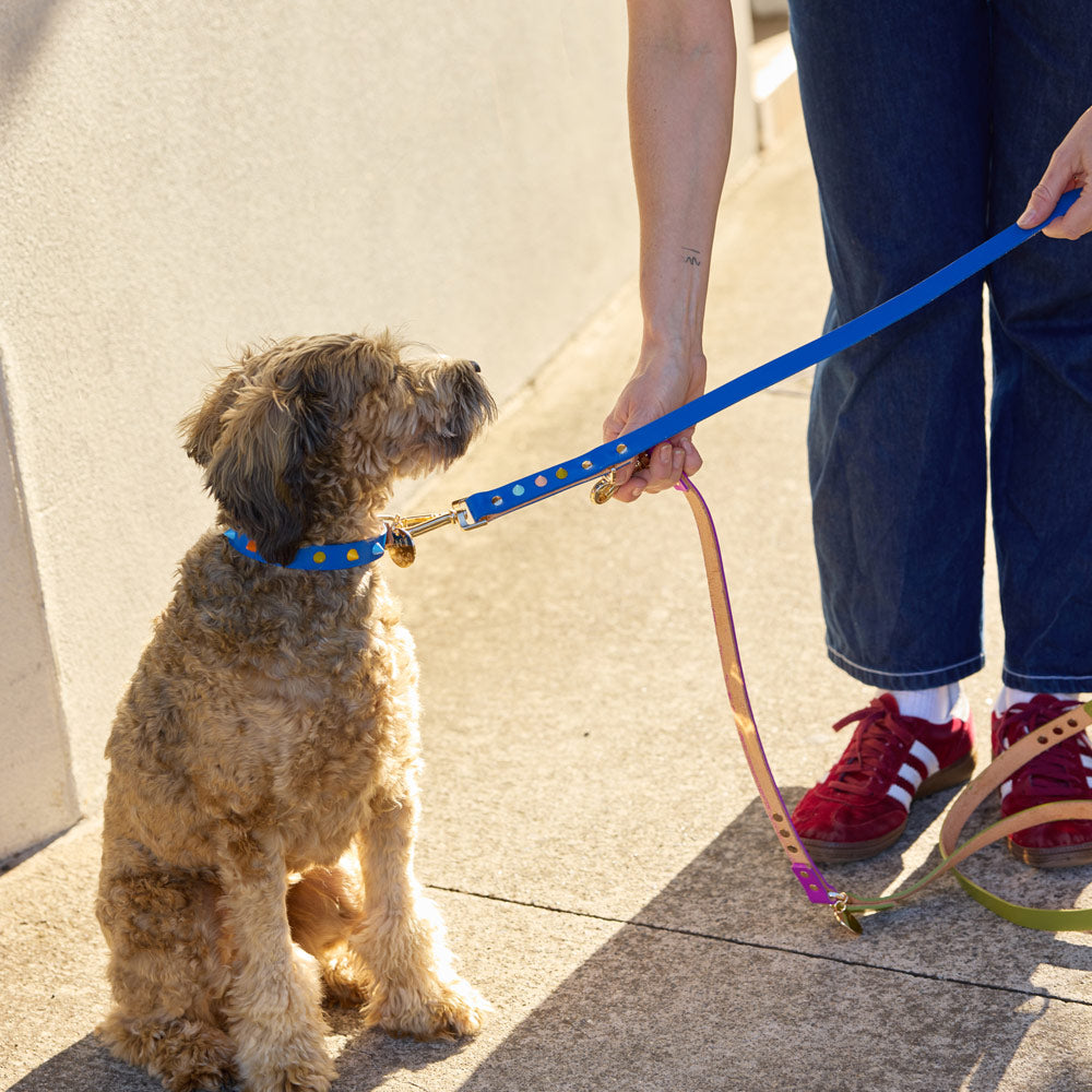 Adjustable Leather Dog Leash - Fun Fair