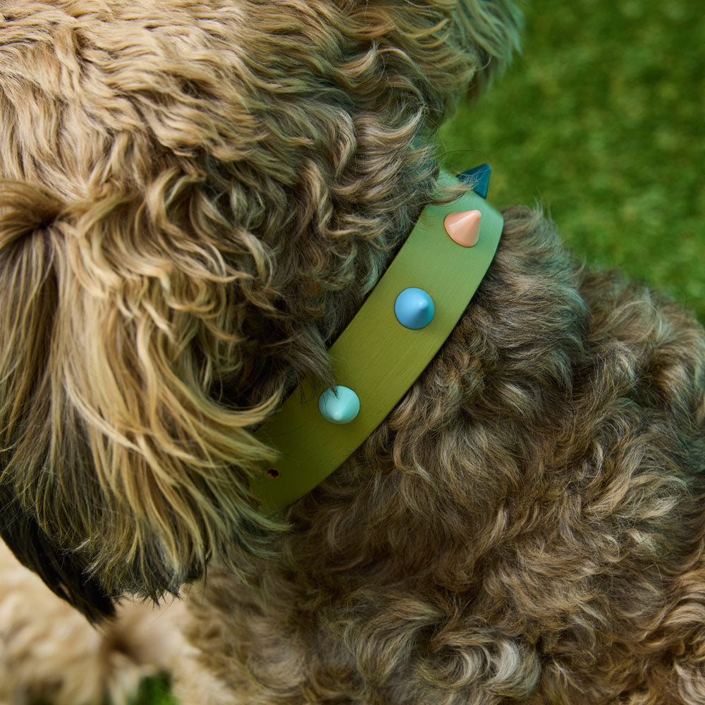 Spike Leather Dog Collar - Mini Golf