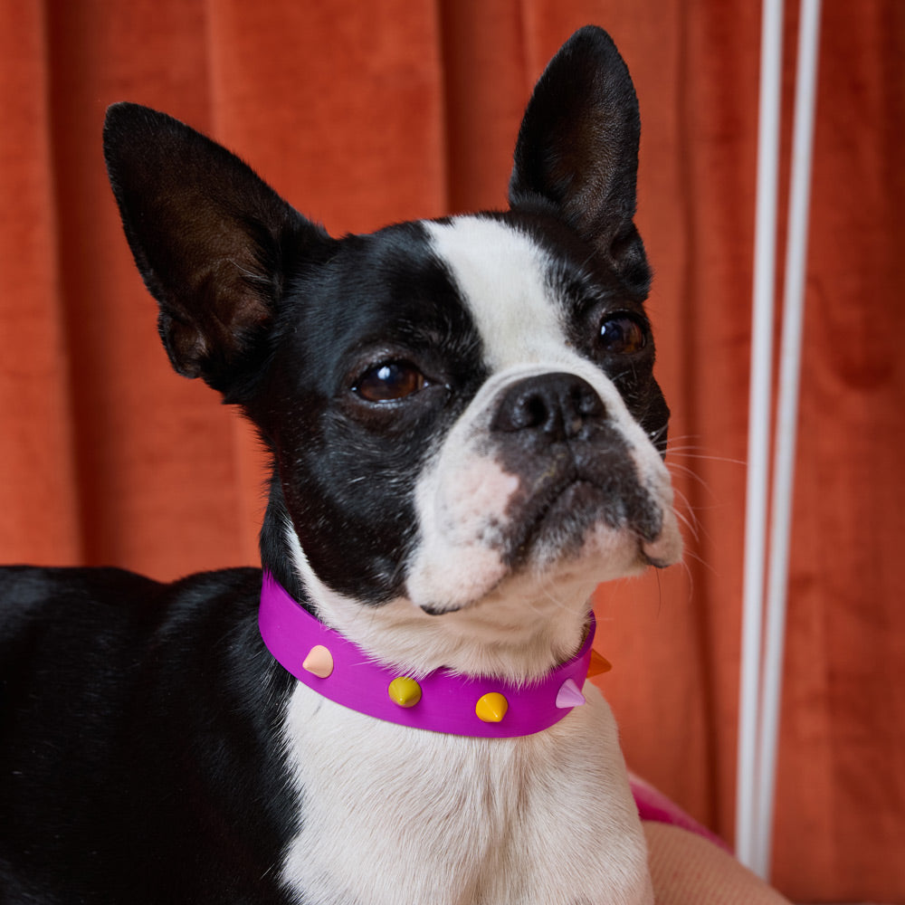 Spike Leather Dog Collar - Ultra violet