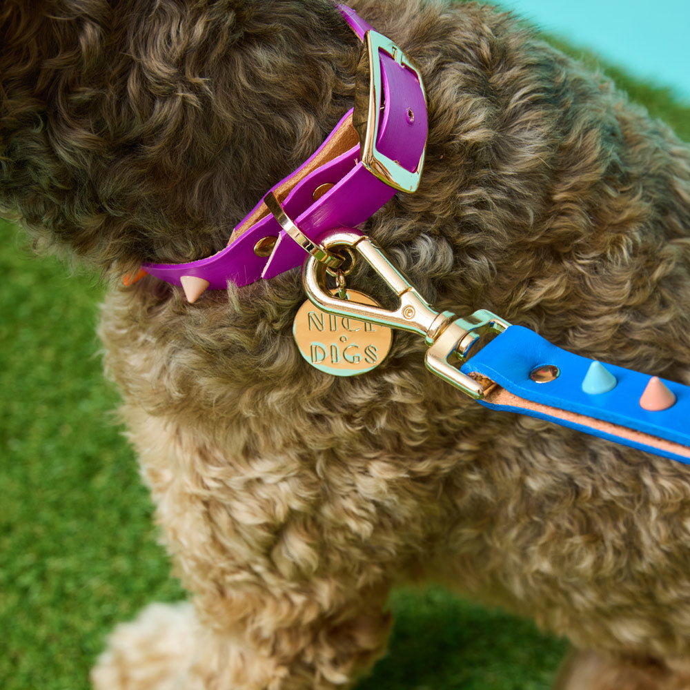 Spike Leather Dog Collar - Ultra violet