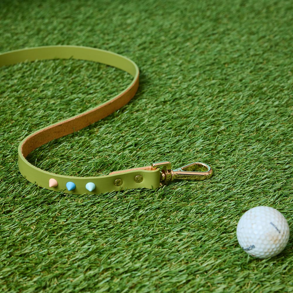 Spike Leather Dog Leash - Mini Golf