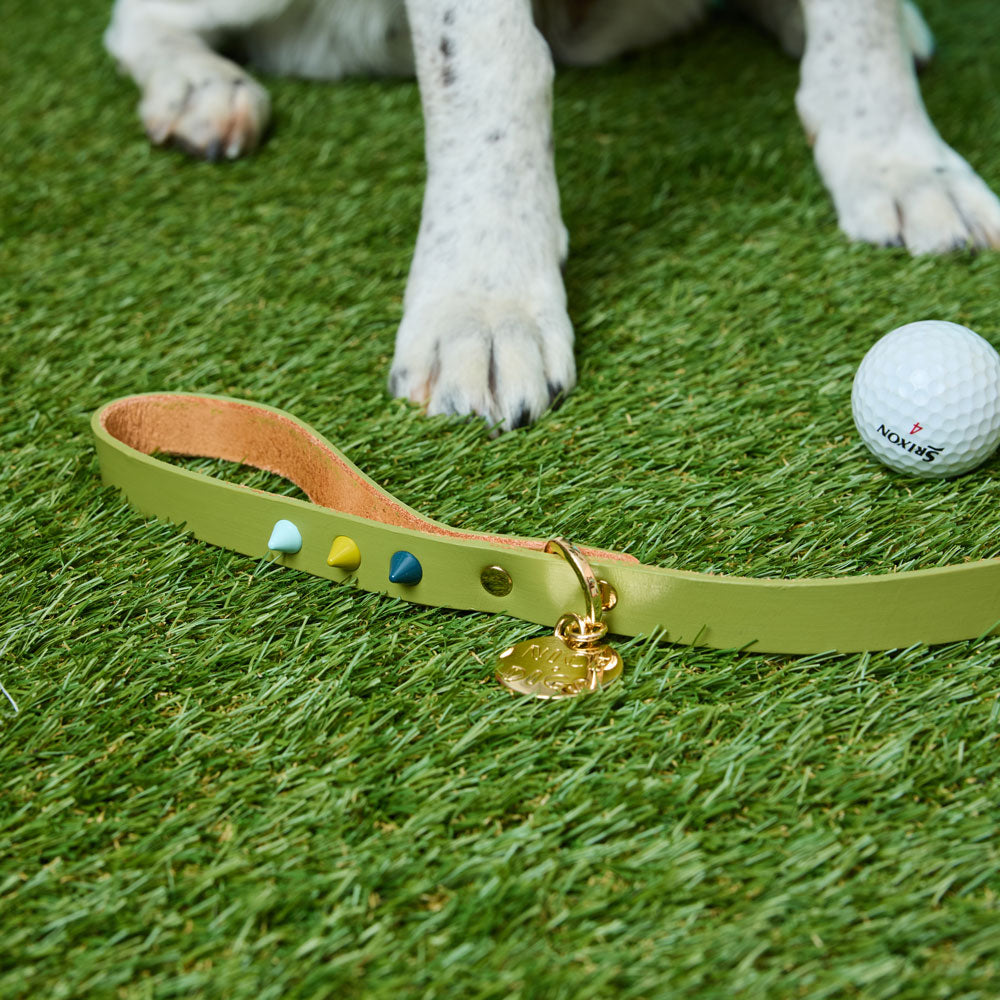 Spike Leather Dog Leash - Mini Golf
