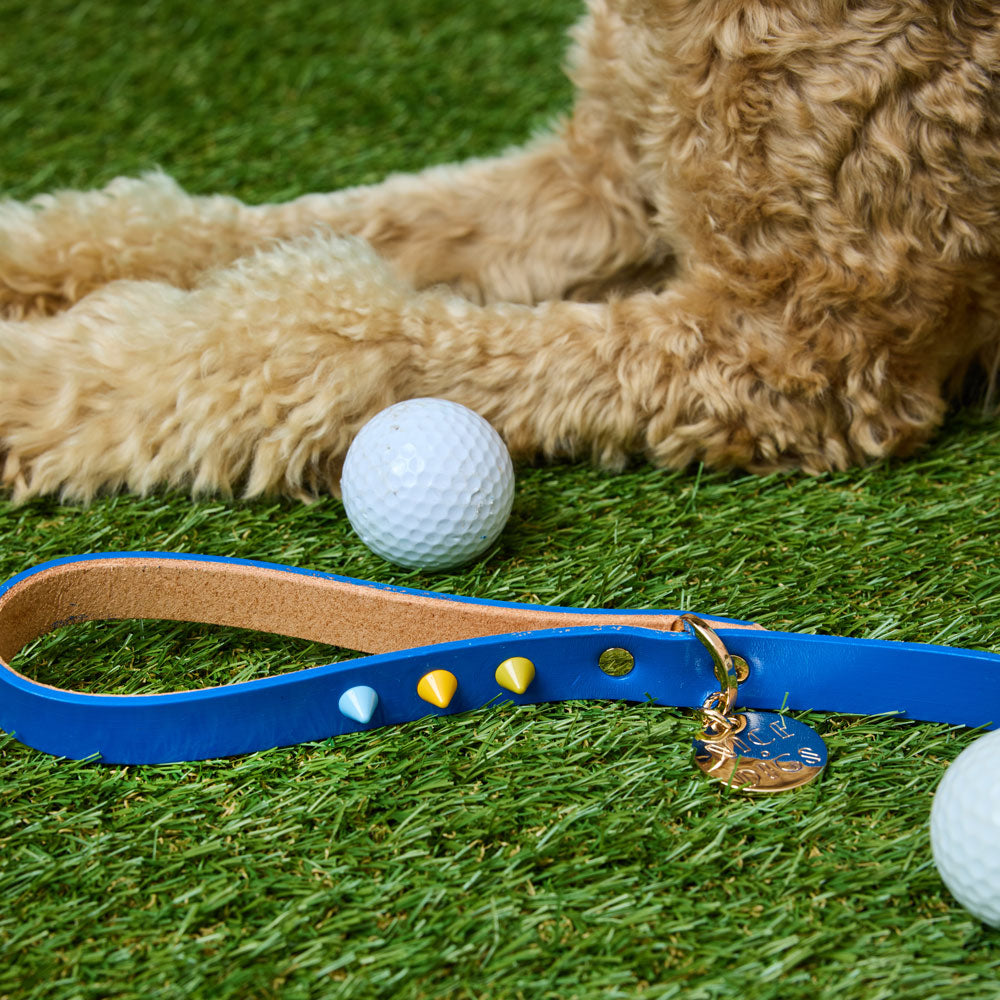 Spike Leather Dog Leash - Salt Coast