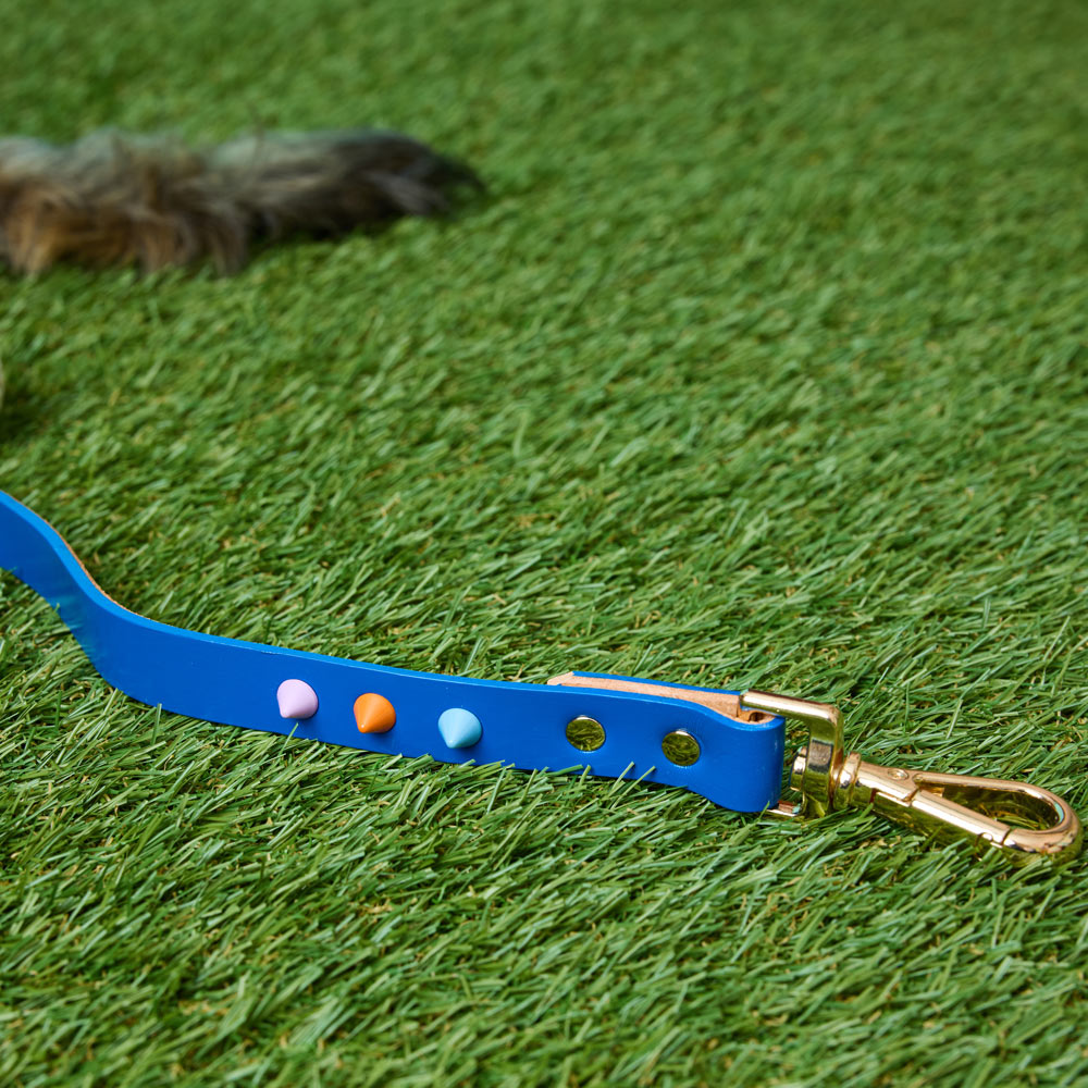 Spike Leather Dog Leash - Salt Coast