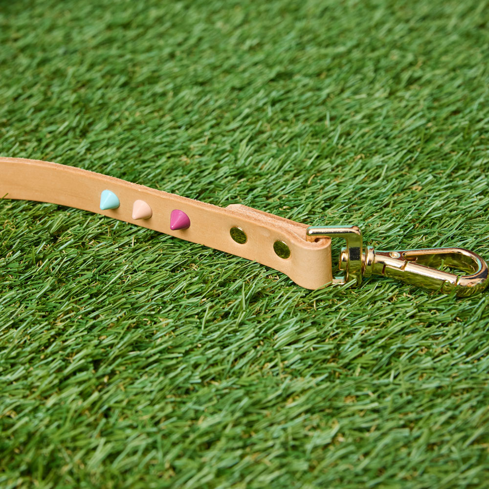 Spike Leather Dog Leash - Spritz