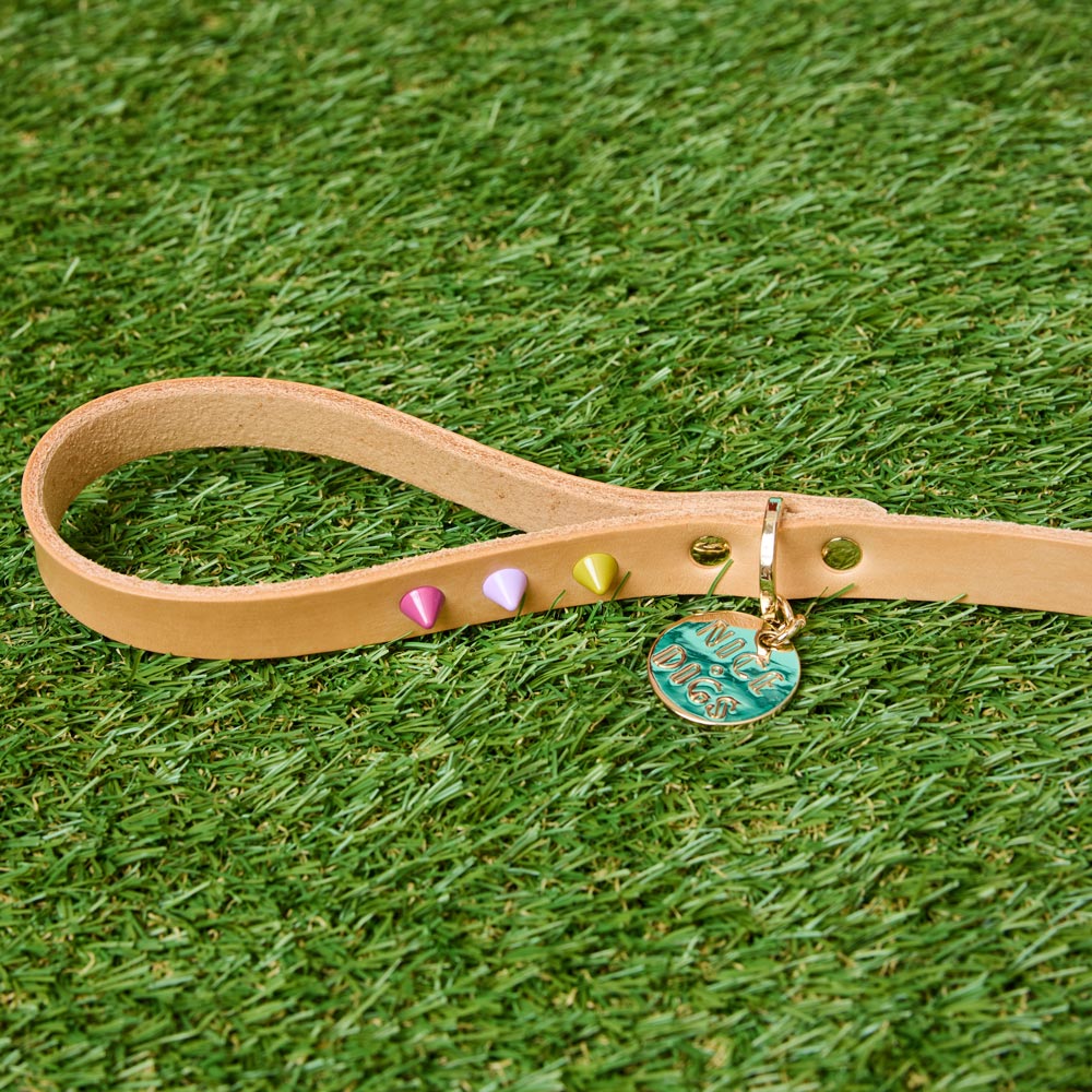 Spike Leather Dog Leash - Spritz