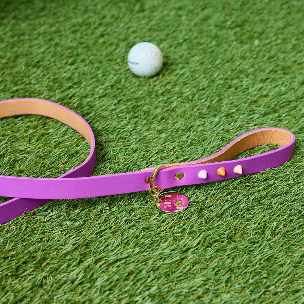 Spike Leather Dog Leash - Ultra Violet