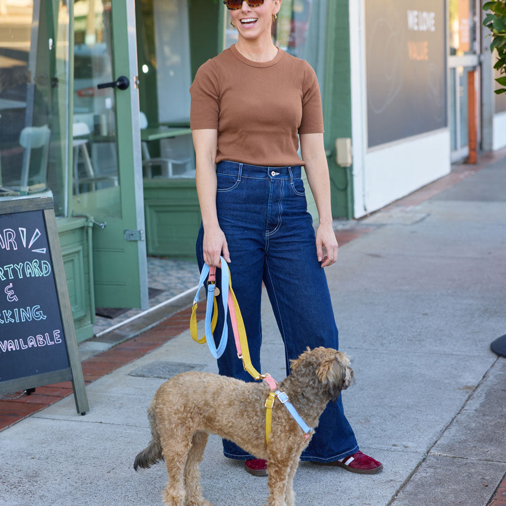 Harness & Leash Bundle