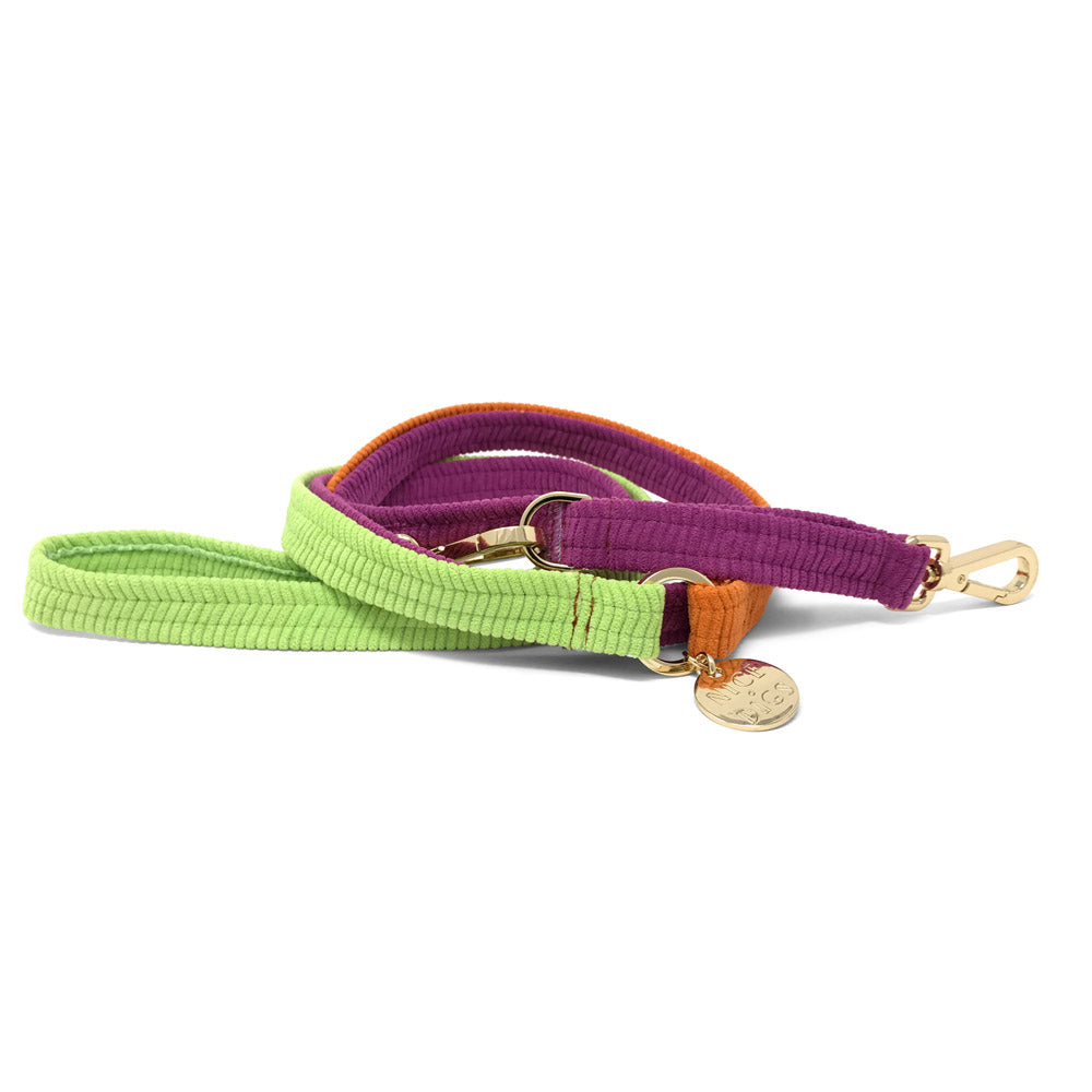 Cord Adjustable Dog Leash - Fruit Salad
