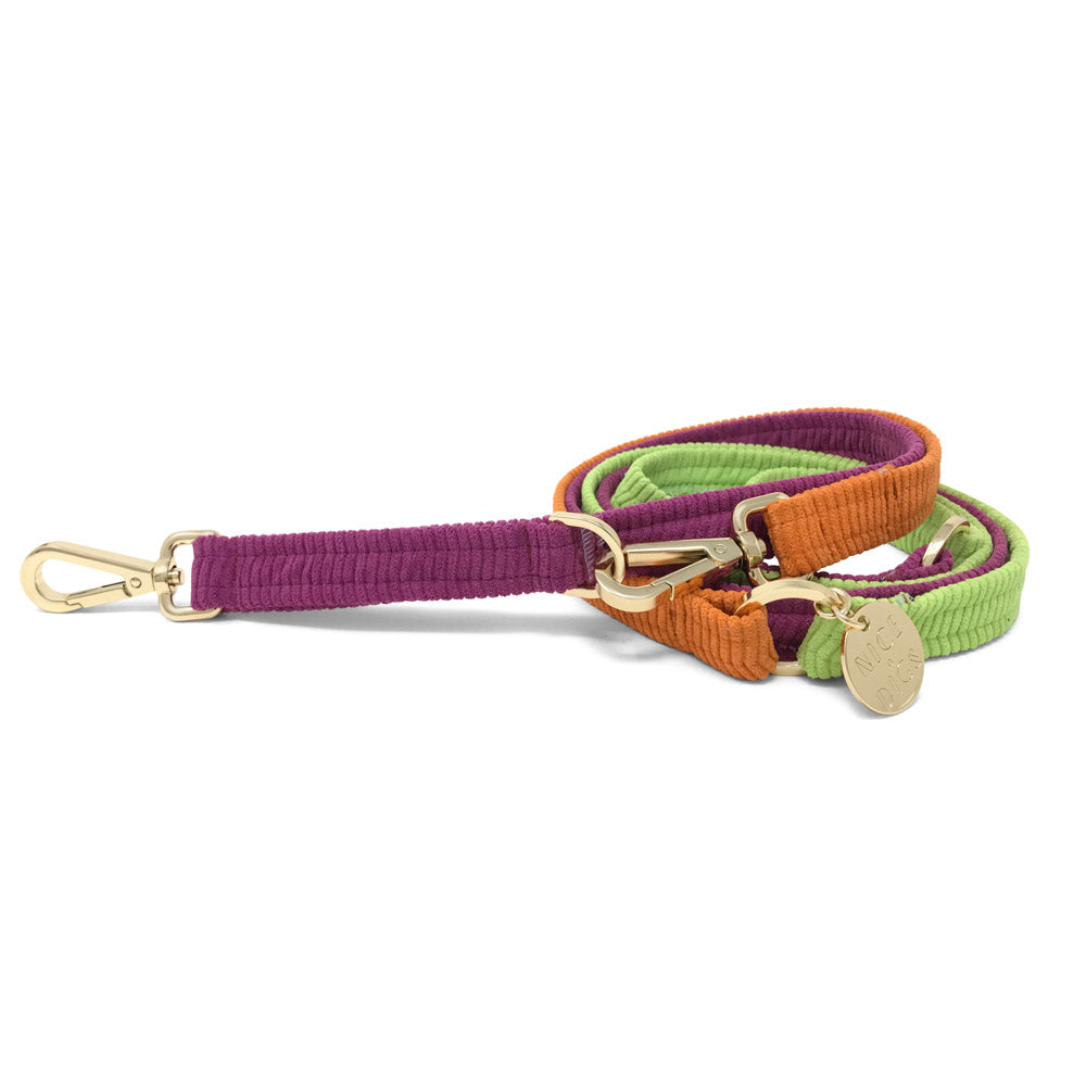 Cord Adjustable Dog Leash - Fruit Salad