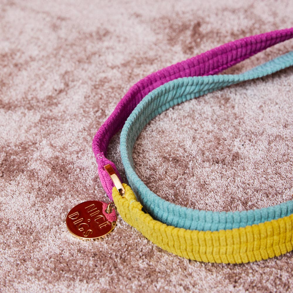 Cord Adjustable Dog Leash - Hidden Gem