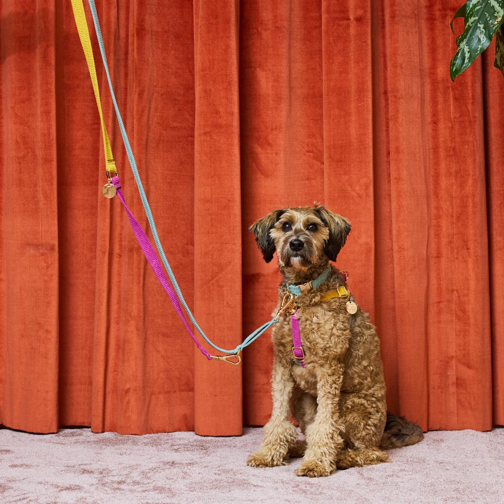 Cord Adjustable Dog Leash - Hidden Gem