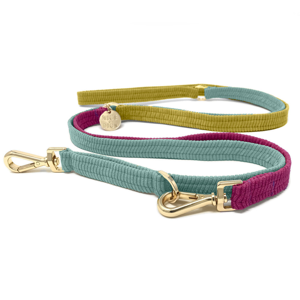 Cord Adjustable Dog Leash - Hidden Gem