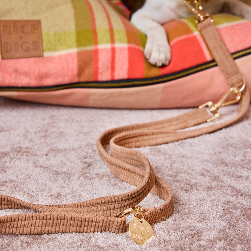 Cord Adjustable Dog Leash - Mocha