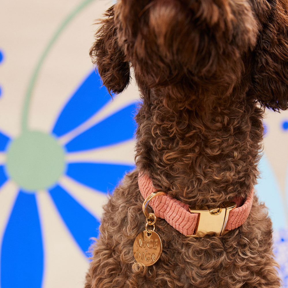 Cord Dog Collar - Blossom
