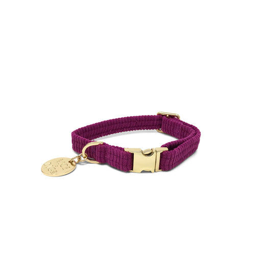 Cord Dog Collar - Dragon Fruit