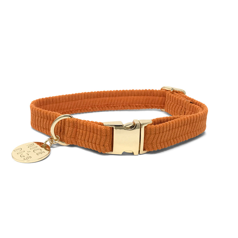 Cord Dog Collar - Tangerine