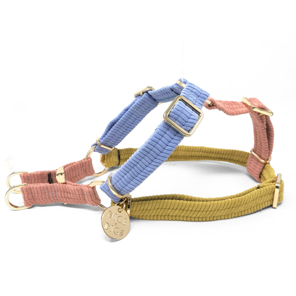 Cord Non-Pull Dog Harness - First Light