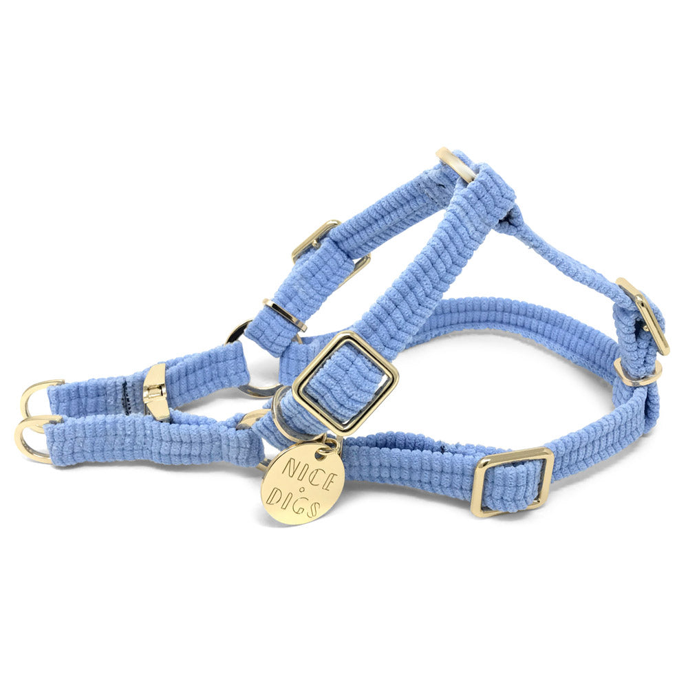 Cord Non-Pull Dog Harness - Forget Me Not