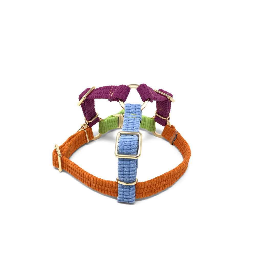 Cord Non-Pull Dog Harness - Fruit Salad