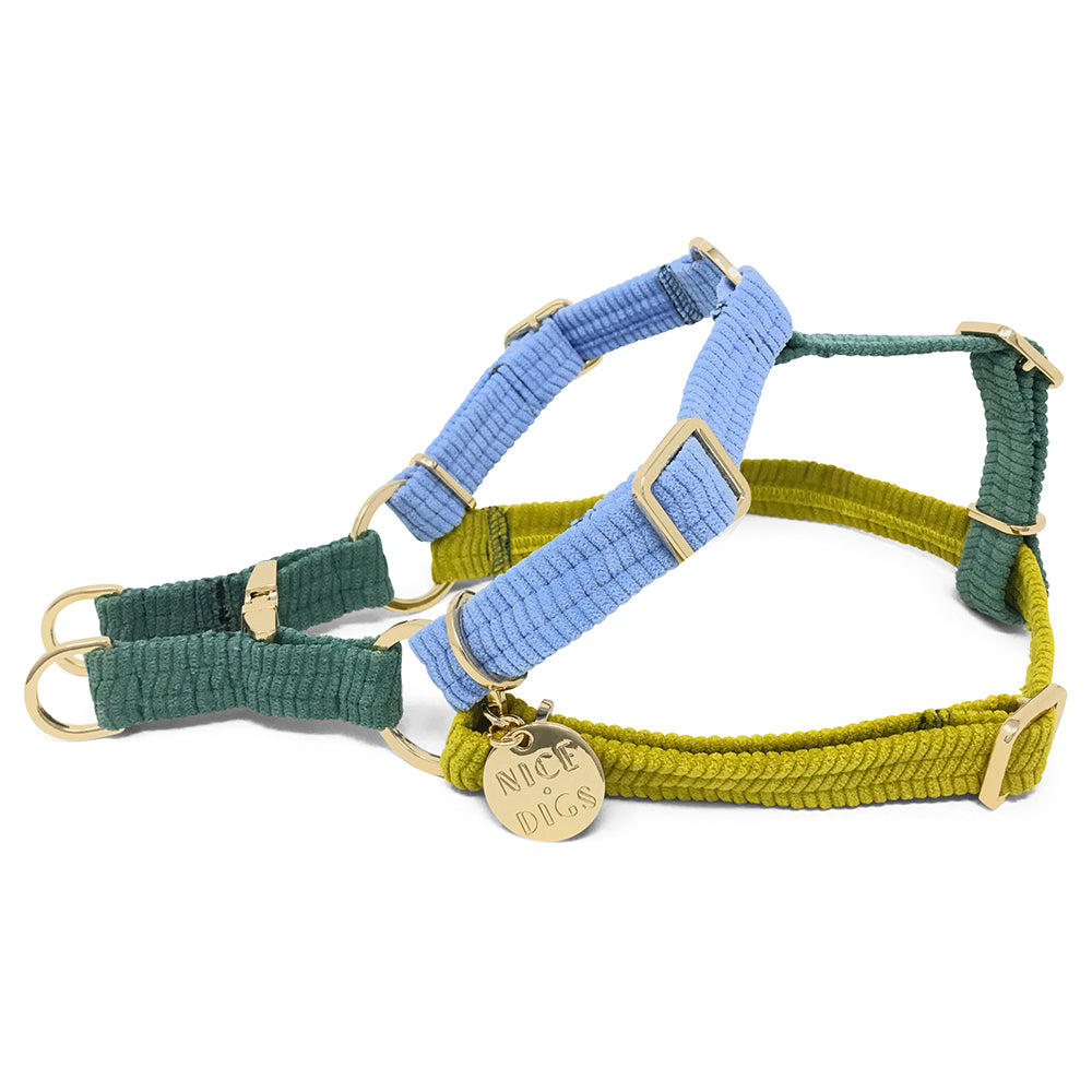 Cord Non-Pull Dog Harness - Cloud Burst