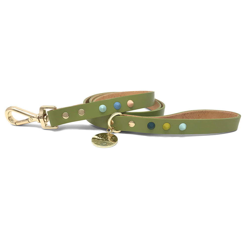 Spike Leather Dog Leash - Mini Golf