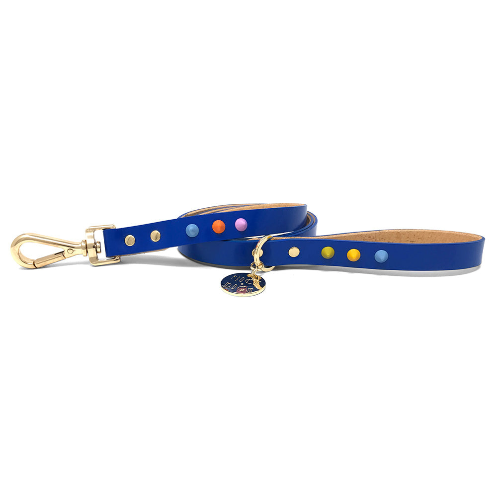 Spike Leather Dog Leash - Salt Coast