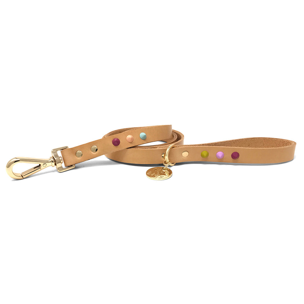Spike Leather Dog Leash - Spritz