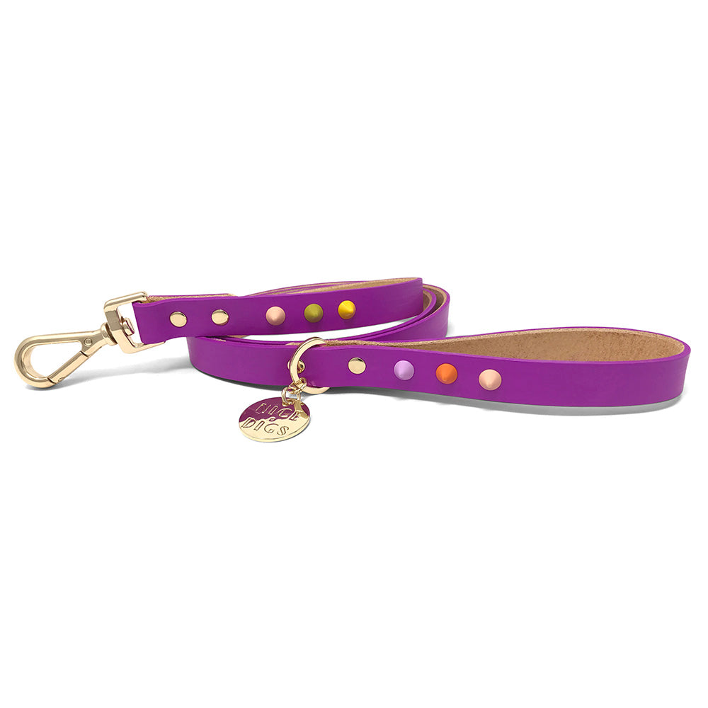 Spike Leather Dog Leash - Ultra Violet