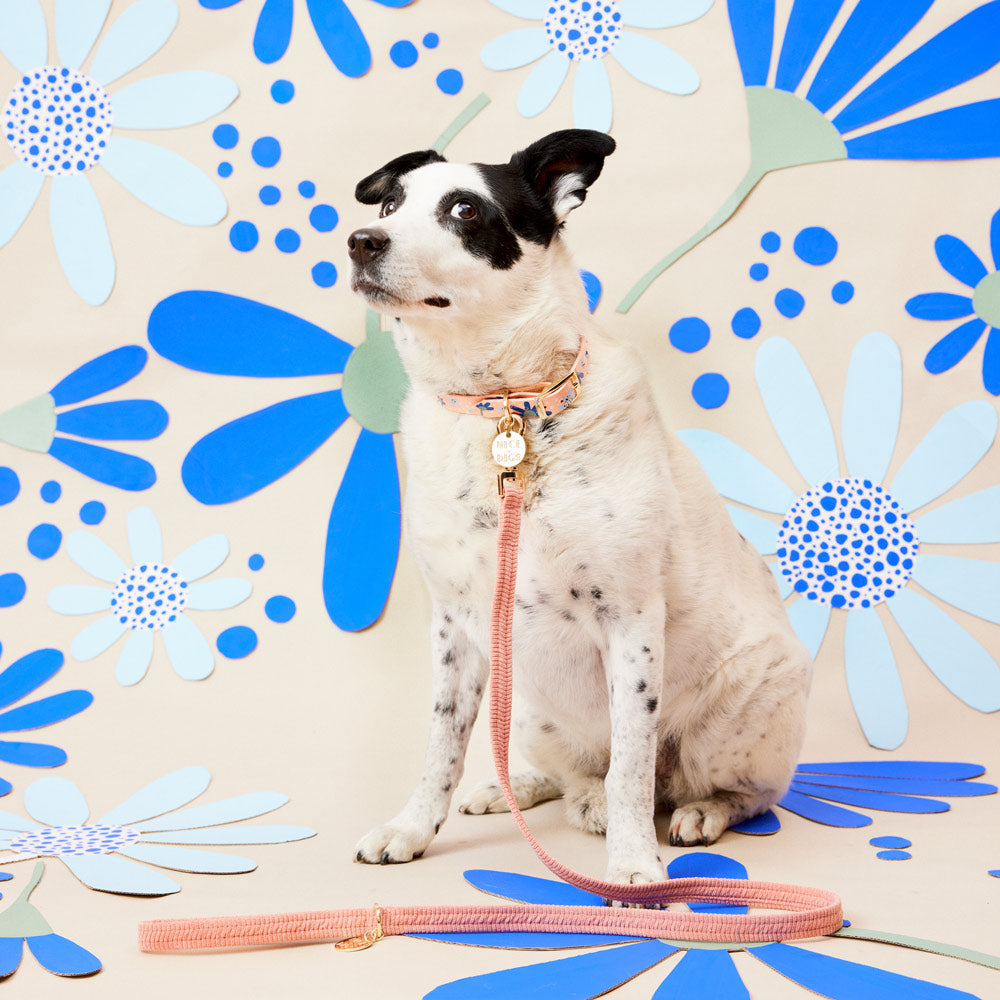 Friendship Posey Leather Dog Collar