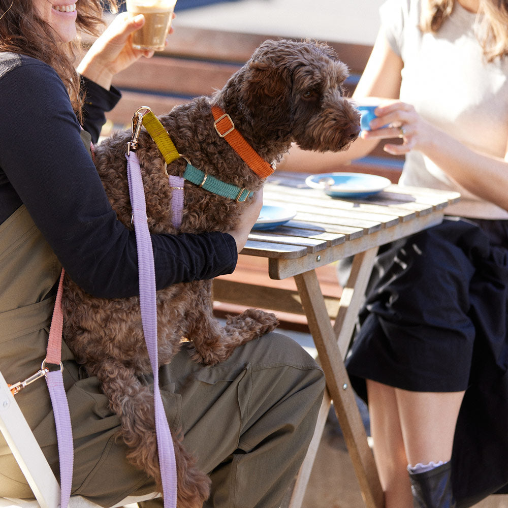 Cord Adjustable Dog Leash - Cutie Pie