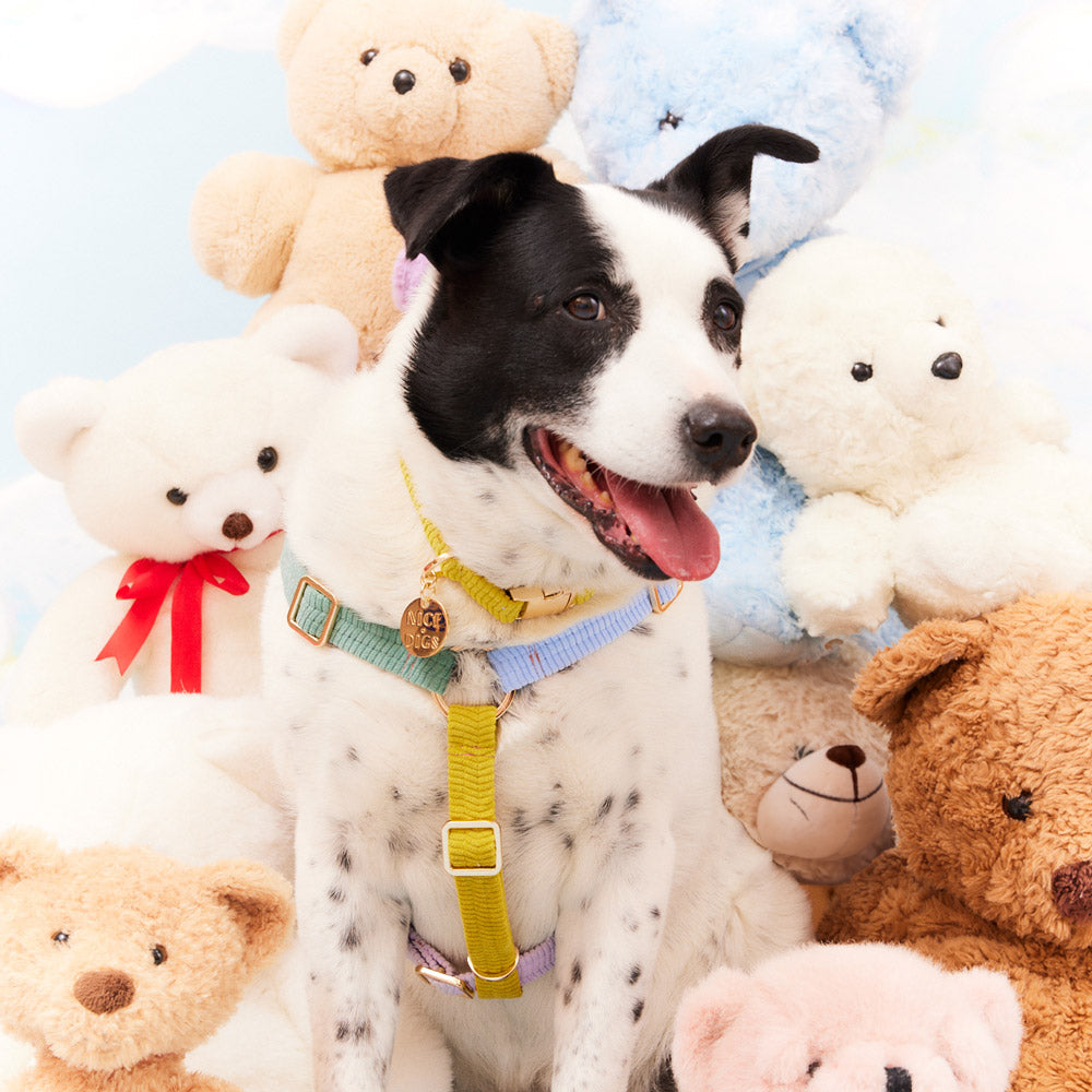 Cord Non-Pull Dog Harness - Tender Hug