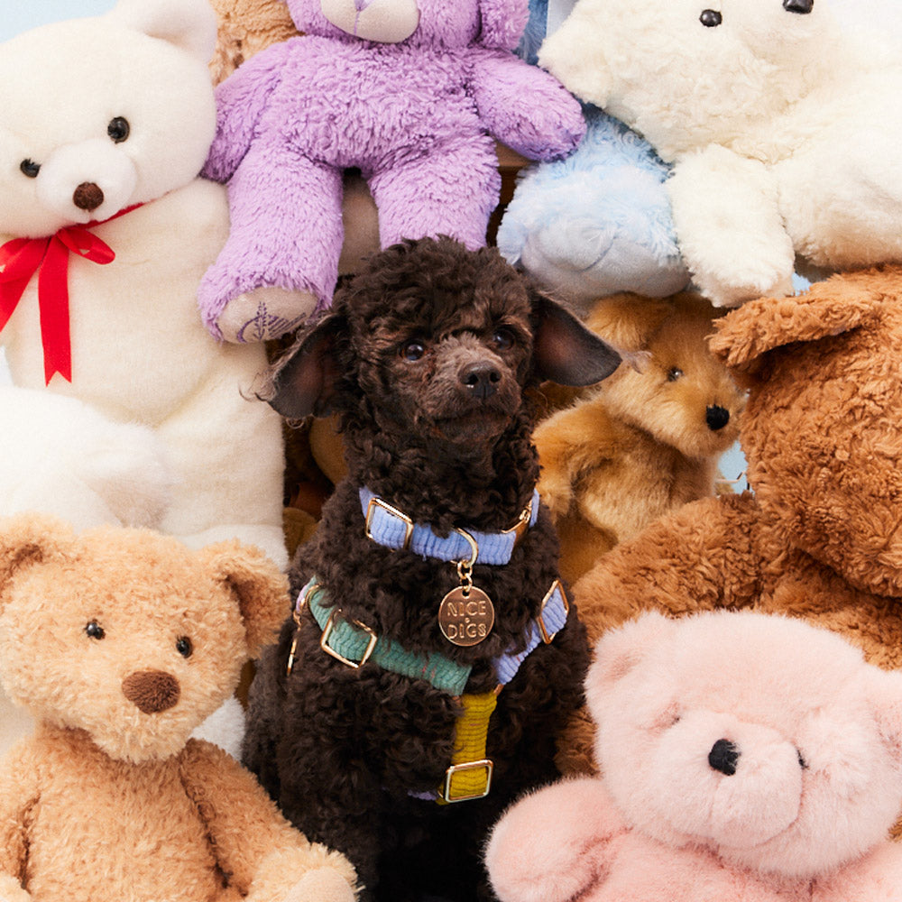 Cord Non-Pull Dog Harness - Tender Hug