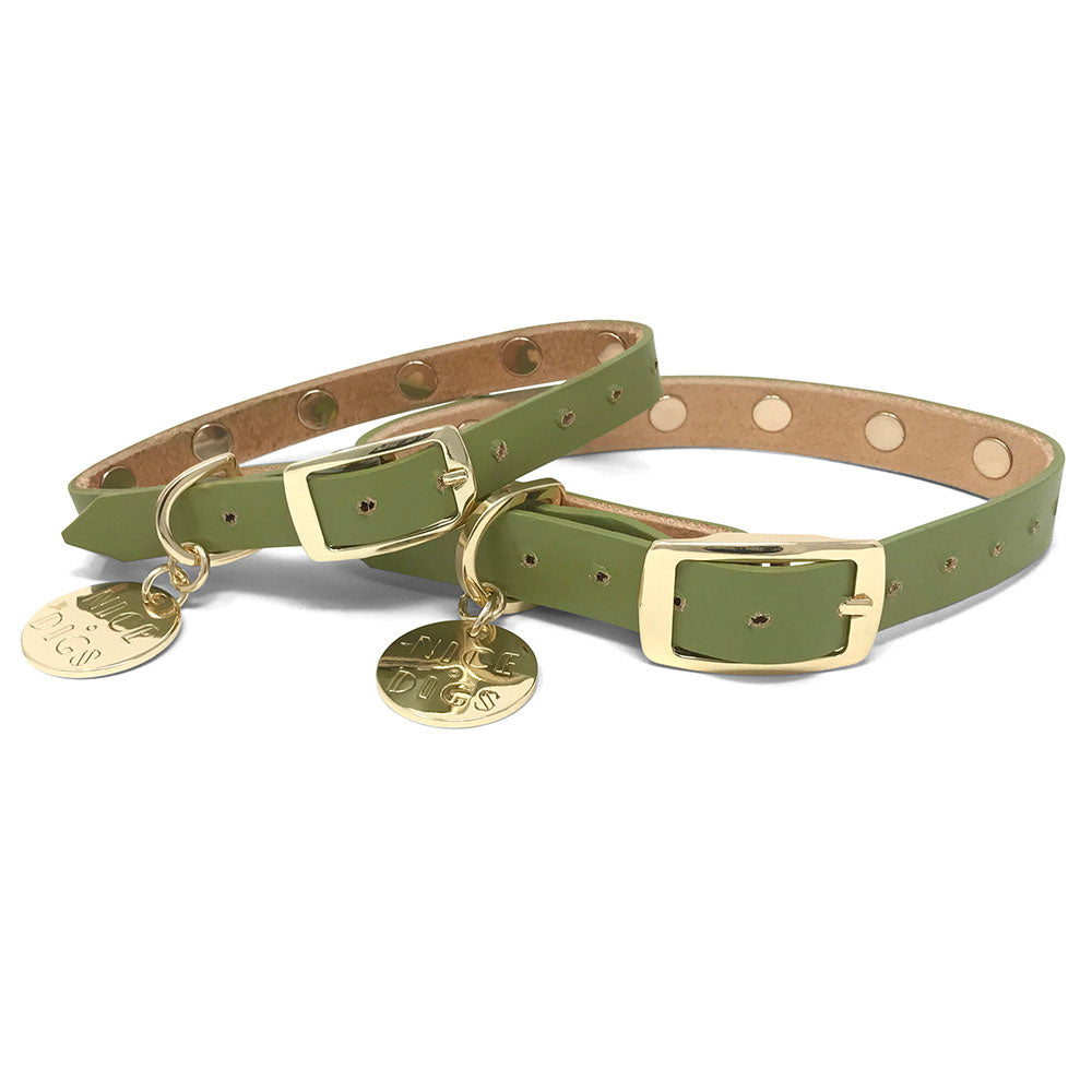 Spike Leather Dog Collar - Mini Golf
