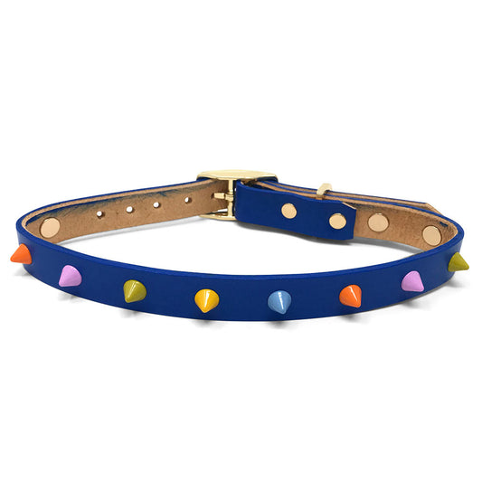 Spike Leather Dog Collar - Salt Coast
