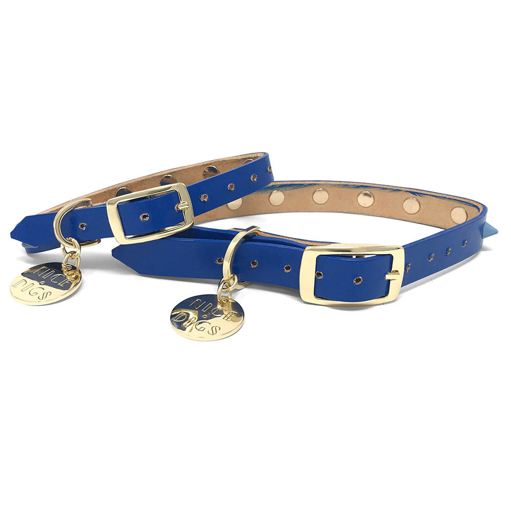 Spike Leather Dog Collar - Salt Coast