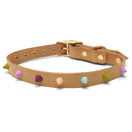 Spike Leather Dog Collar - Spritz