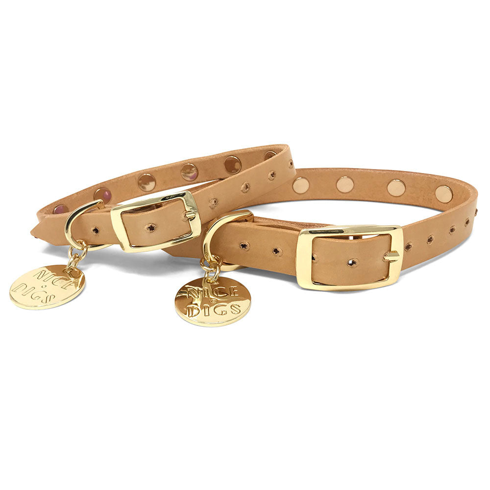 Spike Leather Dog Collar - Spritz