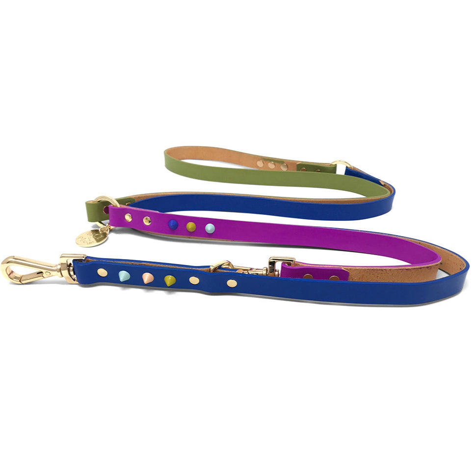 Adjustable Leather Dog Leash - Fun Fair