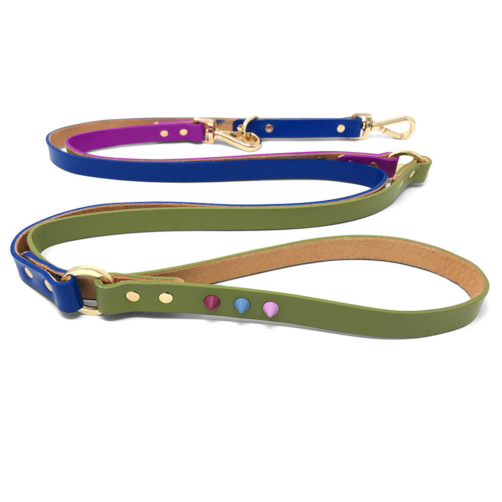 Adjustable Leather Dog Leash - Fun Fair