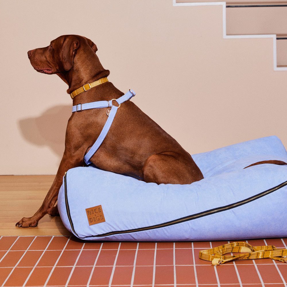 Cord Non-Pull Dog Harness - Forget Me Not