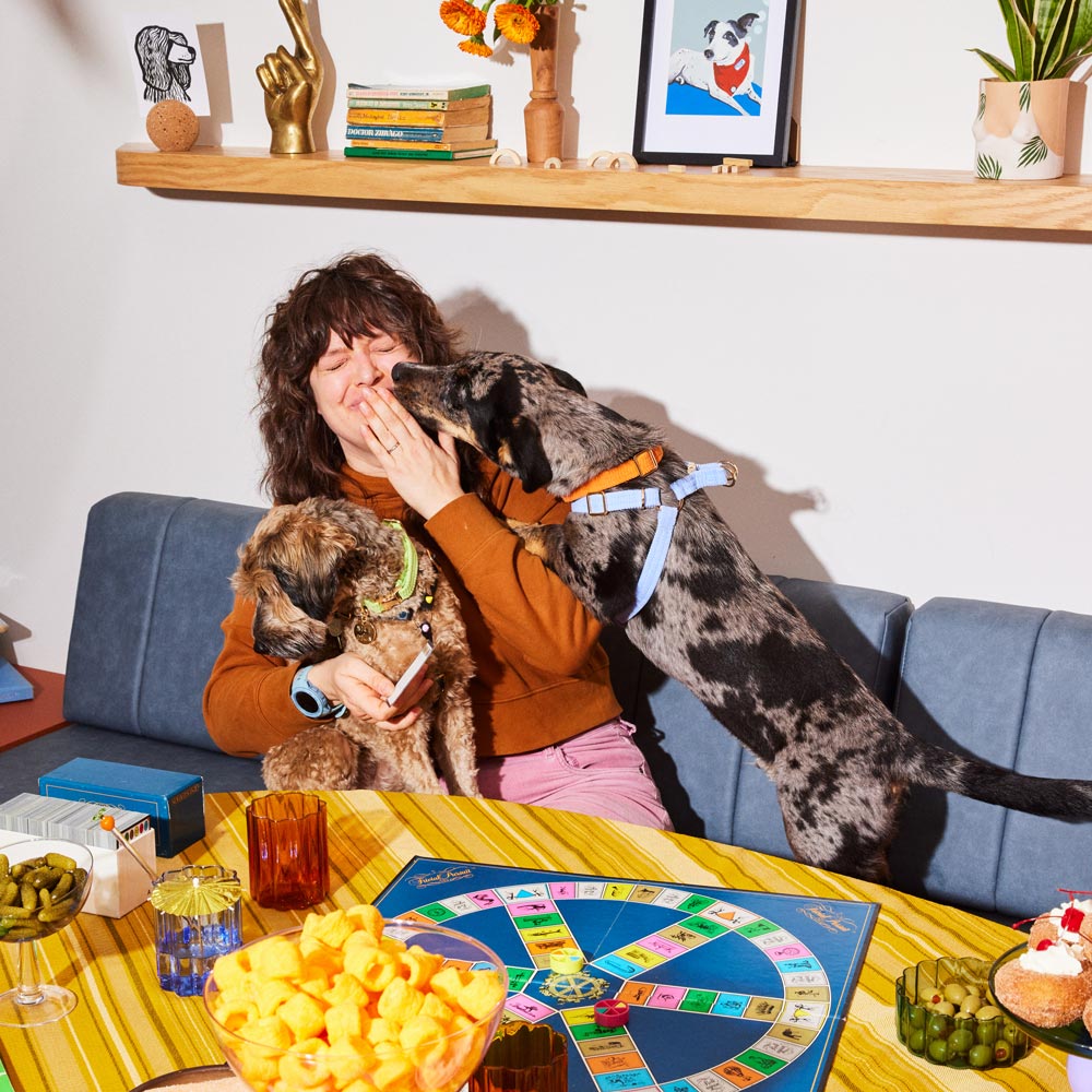 Cord Non-Pull Dog Harness - Forget Me Not