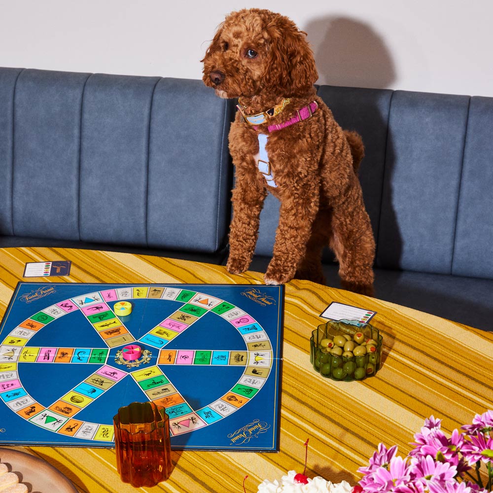 Cord Non-Pull Dog Harness - Fruit Salad