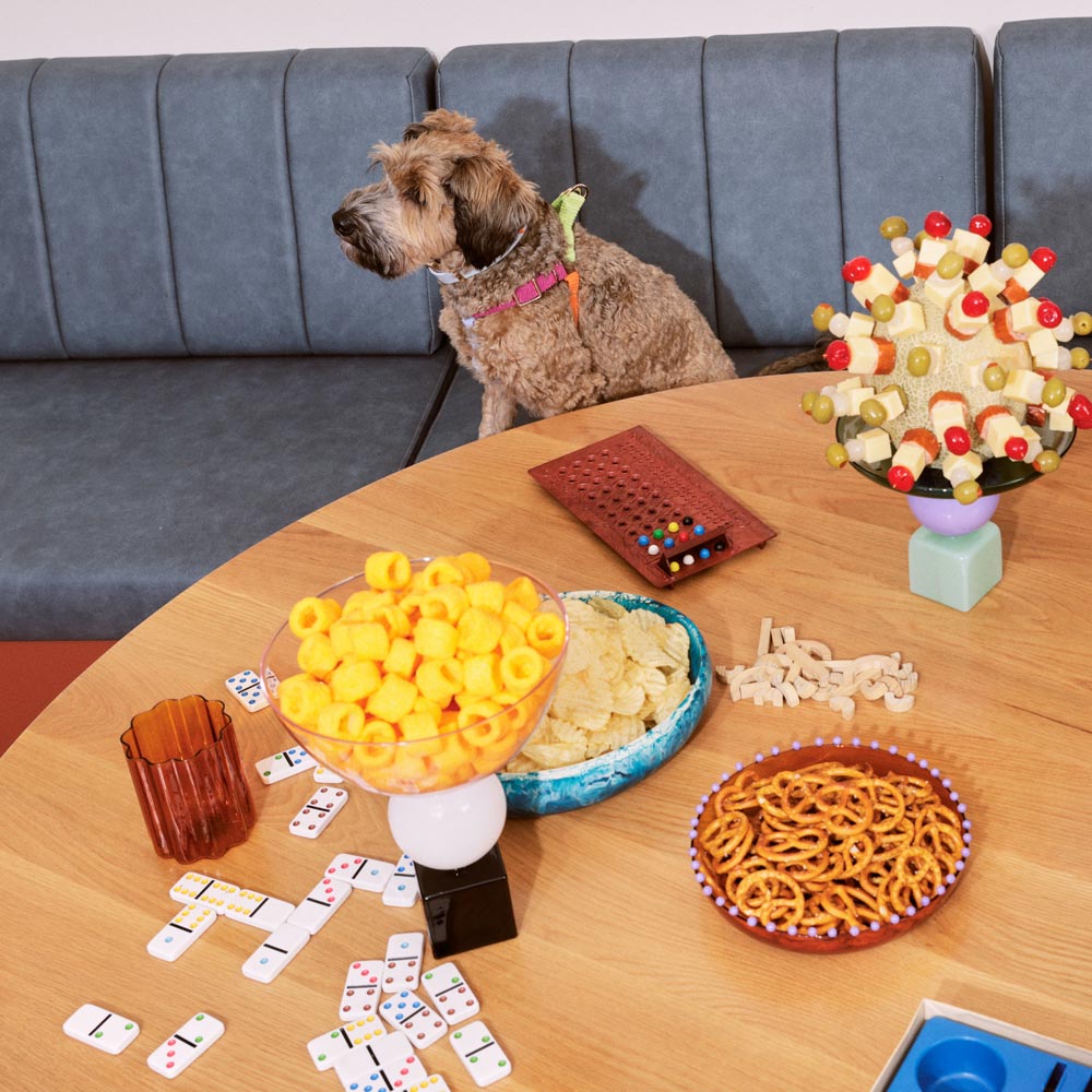 Cord Non-Pull Dog Harness - Fruit Salad