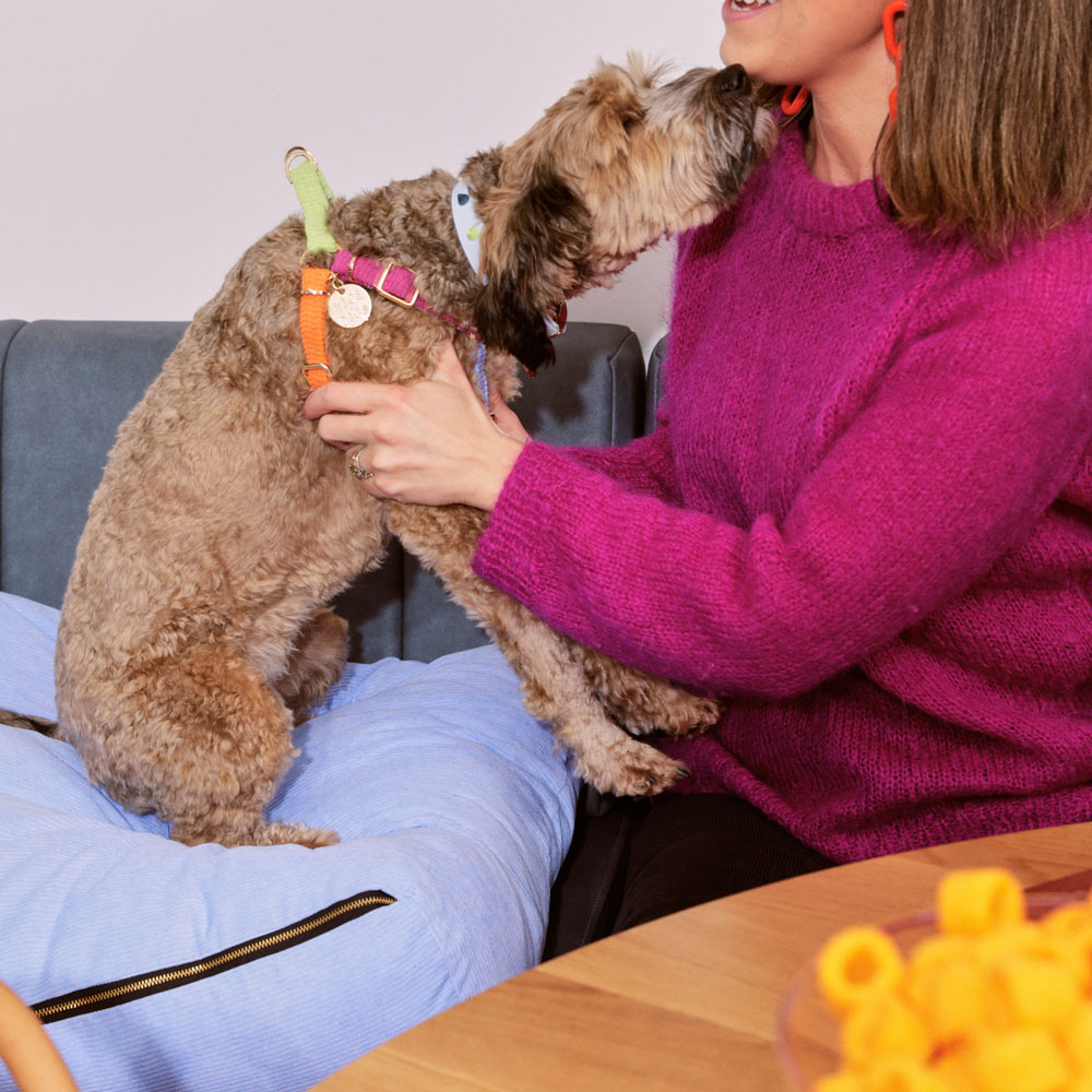 Cord Non-Pull Dog Harness - Fruit Salad