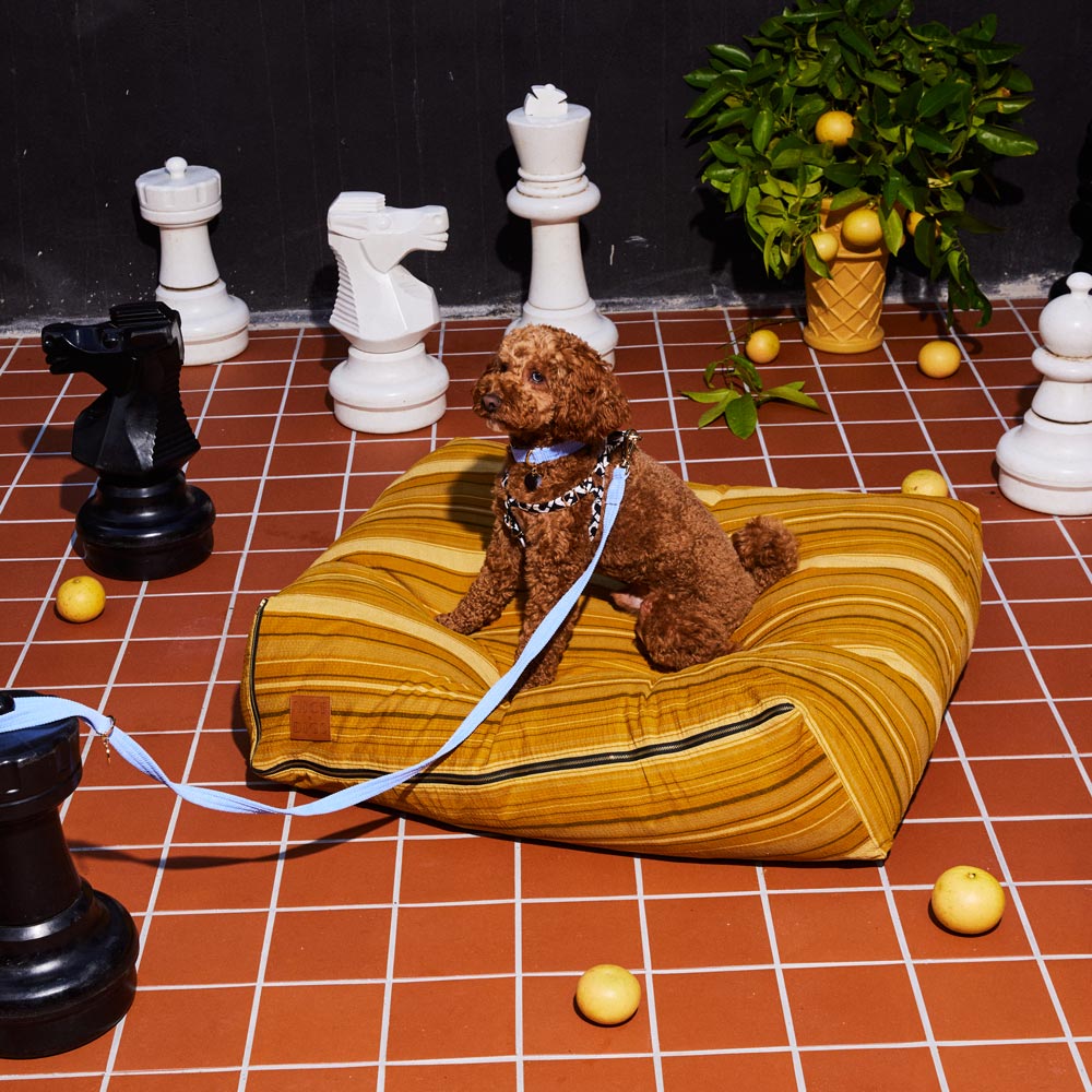 Cord Leash - Forget Me Not