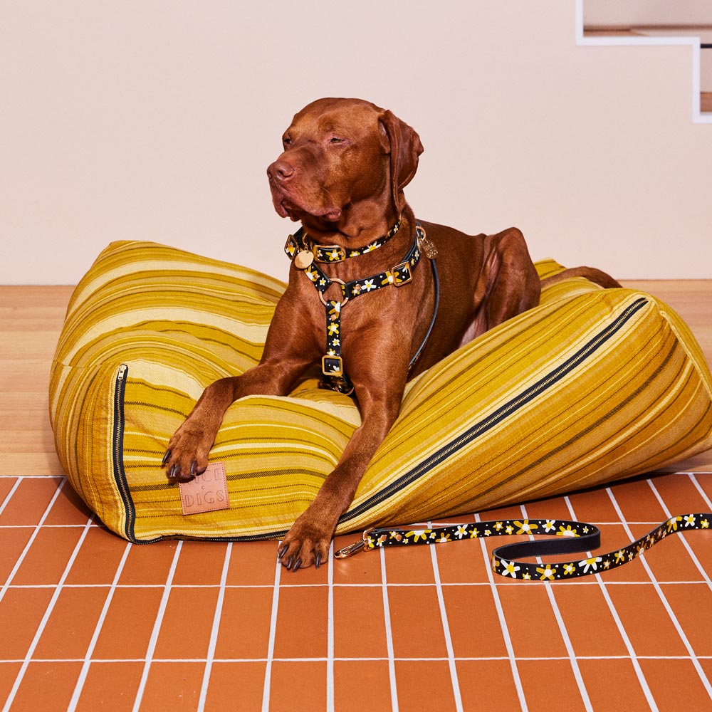 Posie Leather Leash - Sunshine